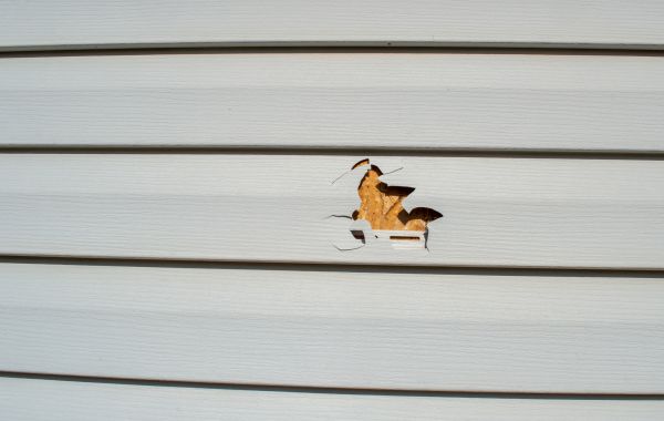 Cost of Siding Hole Patching in Allentown